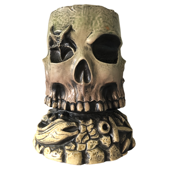 Front - Infinity Skull - Devil's Reef - Limited Edition