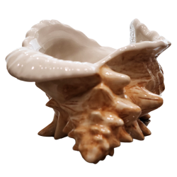 Front - Conch Shell Bowl - Trader Vic’s - 1st Edition