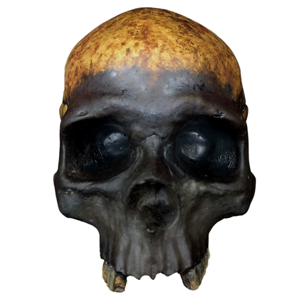 Front - Skull Bowl - The Shrunken Monkey - Weathered Edition