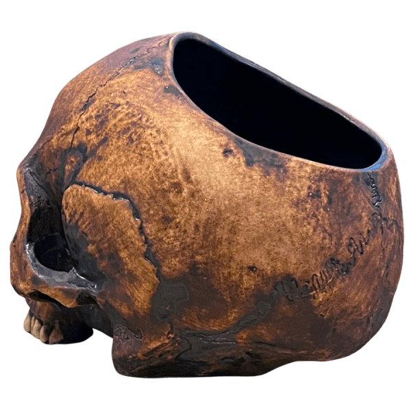 Back - Realistic Skull Mug - Shrunken Monkey - Limited Edition
