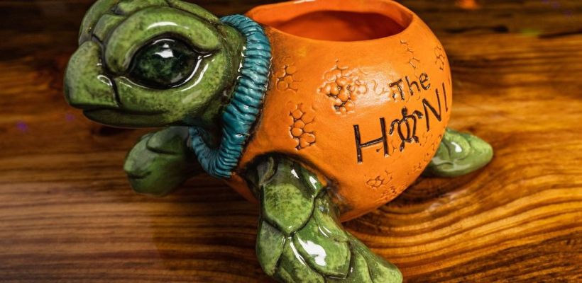 Juice the Dunedin Orange Honu turtle mug