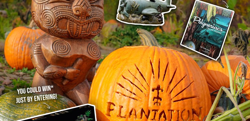 Enchanted Carving Contest Prizes 2023