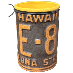 Hawaiian License Plate Mug - Beachbumz - SatinYellow Edition - Front