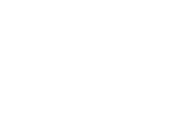 Lowtiki Logo